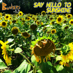 Say Hello To Sunshine - Single